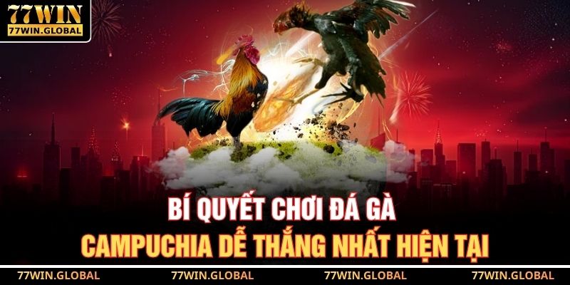 Bí quyết chơi đá gà Campuchia dễ thắng nhất hiện tại
