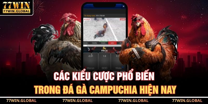 Các kiểu cược phổ biến trong đá gà Campuchia hiện nay