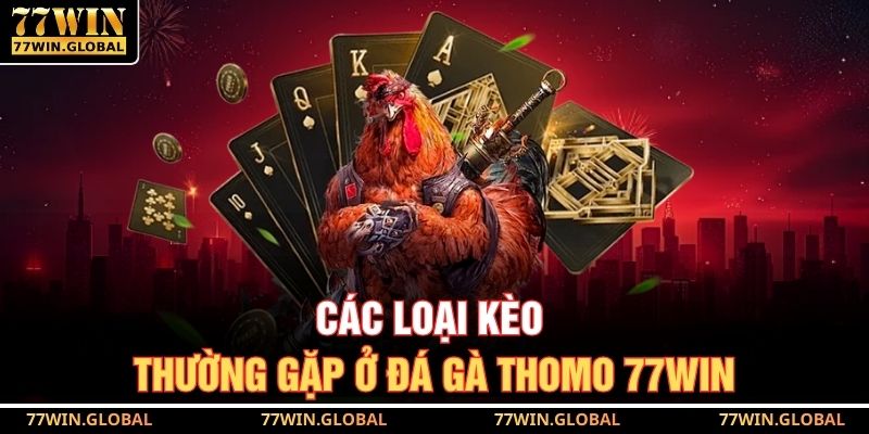 Các loại kèo thường gặp ở đá gà Thomo 77WIN