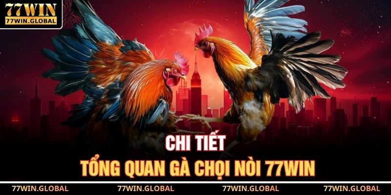 Chi tiết tổng quan gà chọi nòi 77WIN