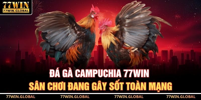 Đá Gà Campuchia 77WIN – Sân Chơi Đang Gây Sốt Toàn Mạng 3 Đá Gà Campuchia