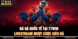 Đá Gà Quốc Tế