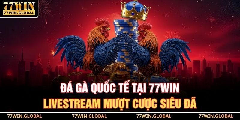 Đá Gà Quốc Tế Tại 77WIN – Livestream Mượt Cược Siêu Đã 1 Đá Gà Quốc Tế