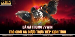 Đá Gà Thomo 77WIN