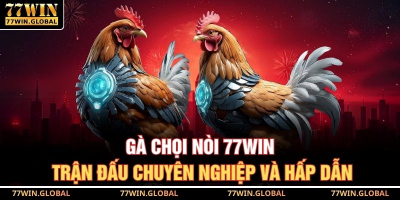 Gà Chọi Nòi 77WIN – Trận Đấu Chuyên Nghiệp Và Hấp Dẫn 9 Gà Chọi Nòi 77WIN