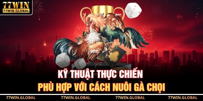 Bí Quyết Cách Nuôi Gà Chọi Để Soi Kèo Chuẩn Tại 77WIN 2 Kỹ thuật thực chiến phù hợp với cách nuôi gà chọi