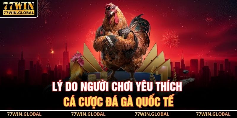 Đá Gà Quốc Tế Tại 77WIN – Livestream Mượt Cược Siêu Đã 3 Lý do người chơi yêu thích cá cược đá gà quốc tế