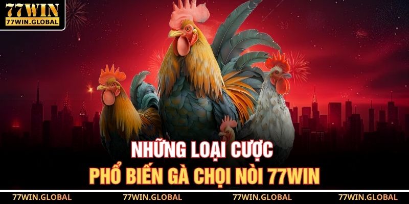 Những loại cược phổ biến gà chọi nòi 77WIN