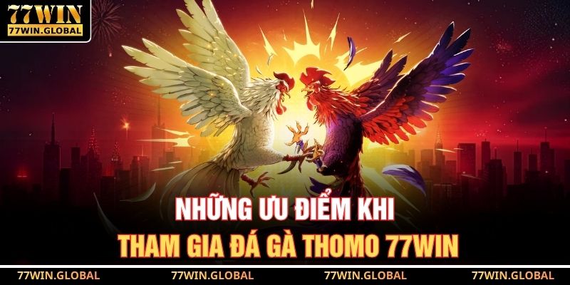 Những ưu điểm khi tham gia đá gà Thomo 77WIN