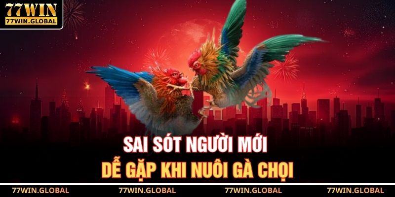 Bí Quyết Cách Nuôi Gà Chọi Để Soi Kèo Chuẩn Tại 77WIN 4 Sai sót người mới dễ gặp khi nuôi gà chọi