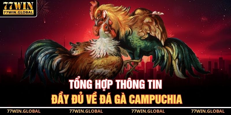 Tổng hợp thông tin đầy đủ về đá gà Campuchia